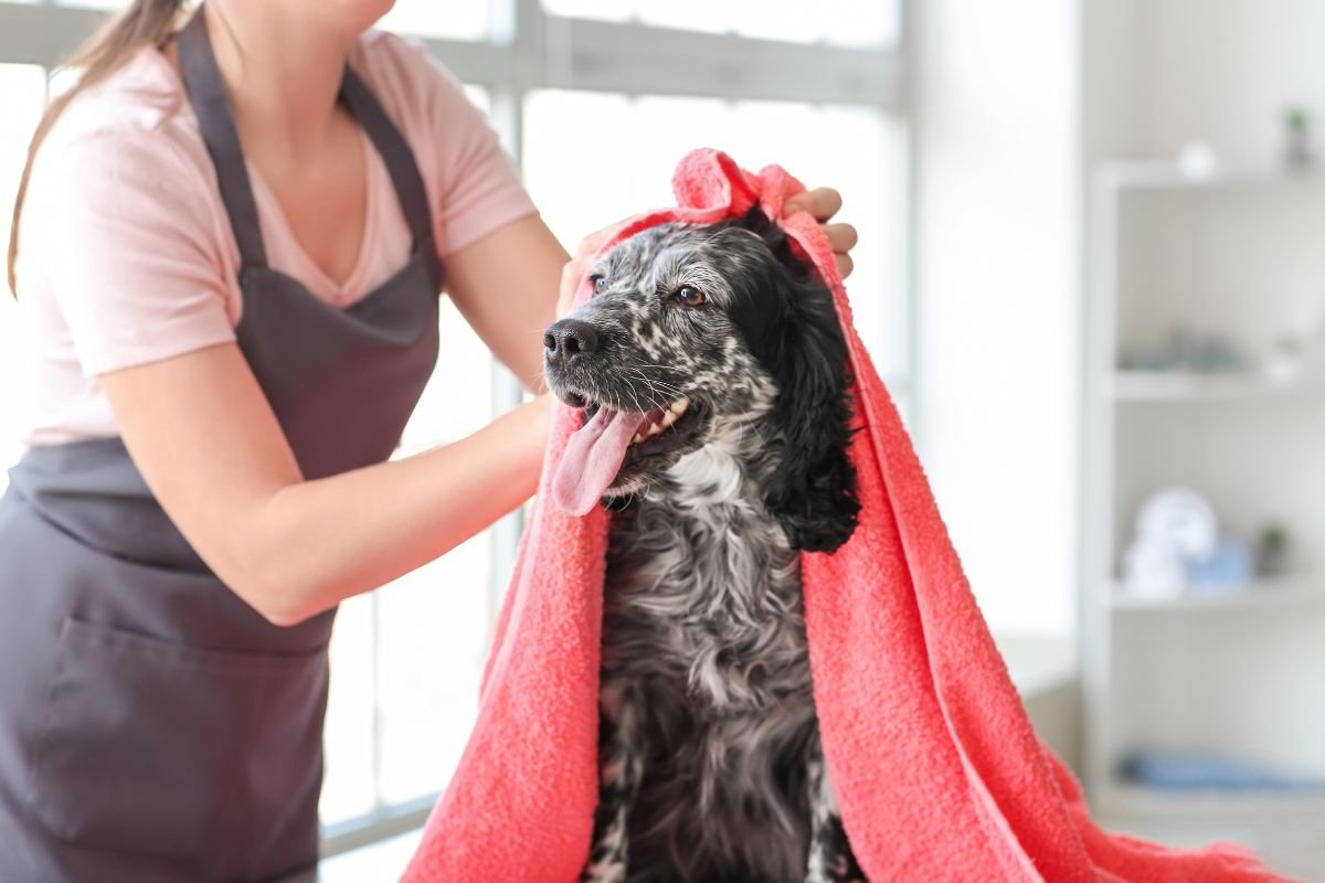 A woman gently dries a dog with a towel after giving it a bath, showcasing a caring interaction between them.
